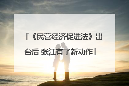 《民营经济促进法》出台后 张江有了新动作