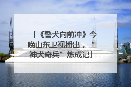 《警犬向前冲》今晚山东卫视播出，“神犬奇兵”炼成记