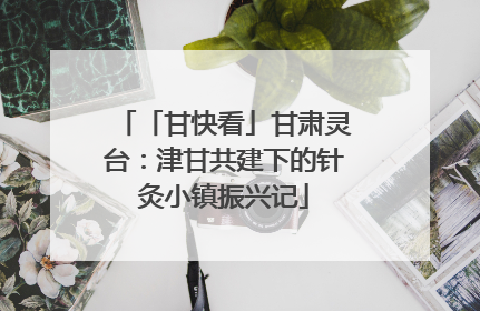 「甘快看」甘肃灵台：津甘共建下的针灸小镇振兴记