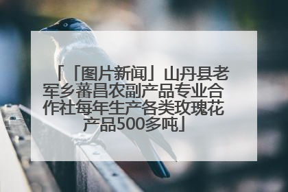 「图片新闻」山丹县老军乡蕃昌农副产品专业合作社每年生产各类玫瑰花产品500多吨
