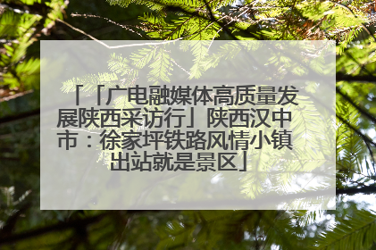 「广电融媒体高质量发展陕西采访行」陕西汉中市：徐家坪铁路风情小镇 出站就是景区