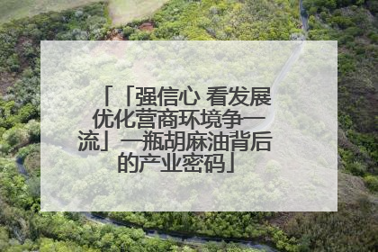 「强信心 看发展 优化营商环境争一流」一瓶胡麻油背后的产业密码