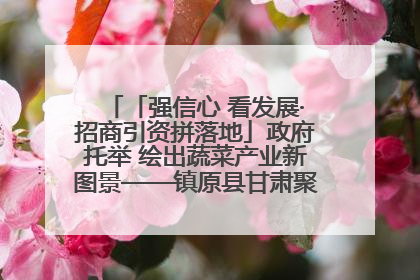 「强信心 看发展·招商引资拼落地」政府托举 绘出蔬菜产业新图景——镇原县甘肃聚广利现代设施蔬菜种植基地见闻