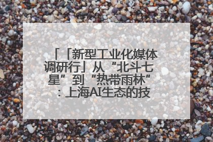 「新型工业化媒体调研行」从“北斗七星”到“热带雨林”：上海AI生态的技术商业共生密码
