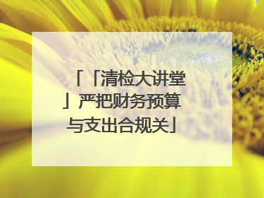 「清检大讲堂」严把财务预算与支出合规关