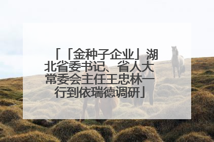 「金种子企业」湖北省委书记、省人大常委会主任王忠林一行到依瑞德调研