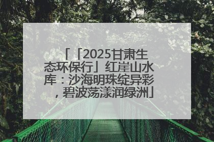 「2025甘肃生态环保行」红崖山水库：沙海明珠绽异彩，碧波荡漾润绿洲