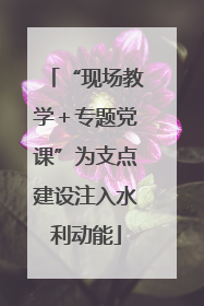 “现场教学＋专题党课”为支点建设注入水利动能
