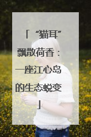 “猫耳”飘散荷香：一座江心岛的生态蜕变