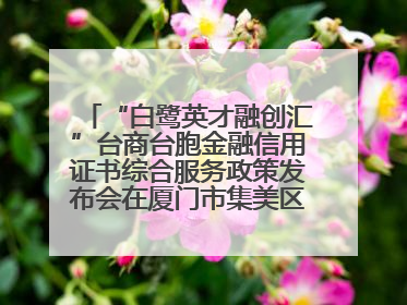 “白鹭英才融创汇”台商台胞金融信用证书综合服务政策发布会在厦门市集美区成功举办