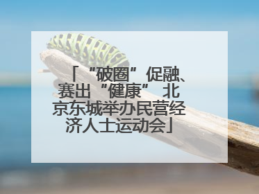 “破圈”促融、赛出“健康” 北京东城举办民营经济人士运动会