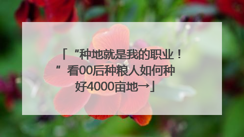 “种地就是我的职业！”看00后种粮人如何种好4000亩地→