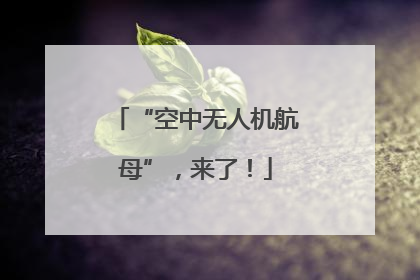 “空中无人机航母”，来了！
