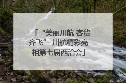 “美丽川航 客货齐飞” 川航精彩亮相第七届西洽会