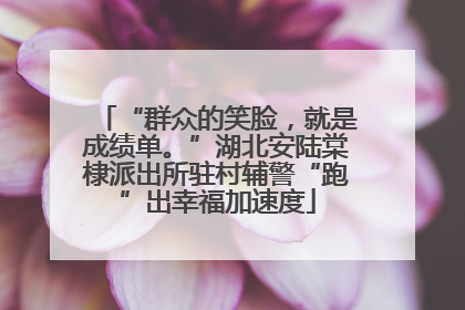 “群众的笑脸，就是成绩单。”湖北安陆棠棣派出所驻村辅警“跑”出幸福加速度