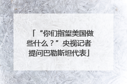 “你们指望美国做些什么？”央视记者提问巴勒斯坦代表