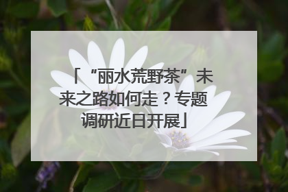 “丽水荒野茶”未来之路如何走？专题调研近日开展