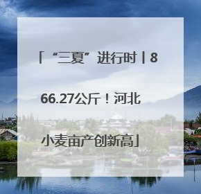 “三夏”进行时丨866.27公斤！河北小麦亩产创新高