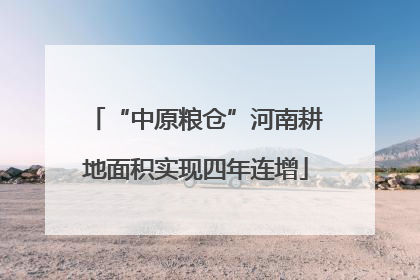“中原粮仓”河南耕地面积实现四年连增