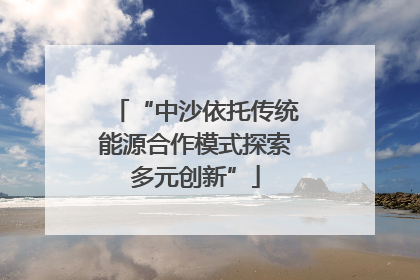 “中沙依托传统能源合作模式探索多元创新”
