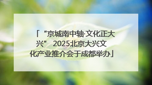 “京城南中轴·文化正大兴” 2025北京大兴文化产业推介会于成都举办