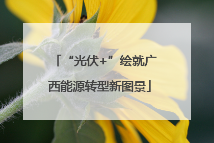 “光伏+”绘就广西能源转型新图景
