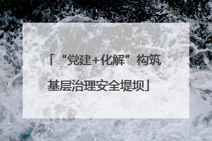 “党建+化解”构筑基层治理安全堤坝