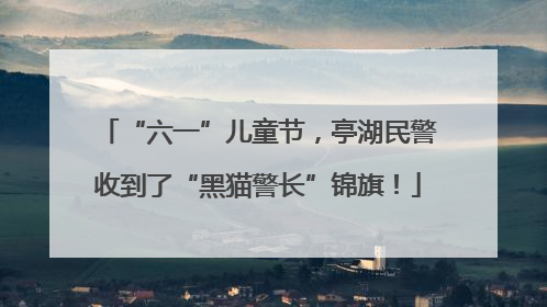 “六一”儿童节，亭湖民警收到了“黑猫警长”锦旗！