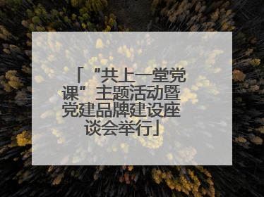 “共上一堂党课”主题活动暨党建品牌建设座谈会举行