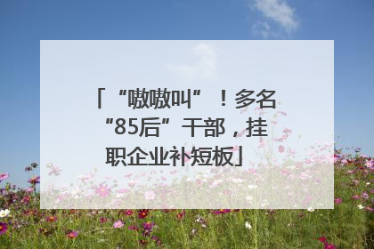 “嗷嗷叫”！多名“85后”干部，挂职企业补短板