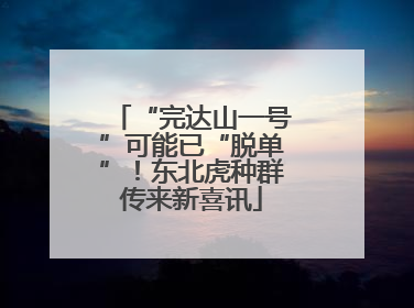 “完达山一号”可能已“脱单”！东北虎种群传来新喜讯