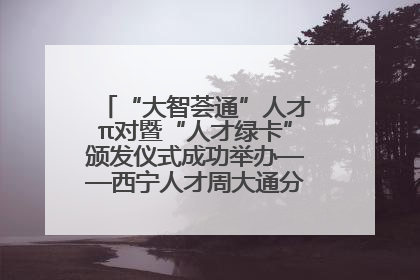 “大智荟通”人才π对暨“人才绿卡”颁发仪式成功举办——西宁人才周大通分会场亮点纷呈