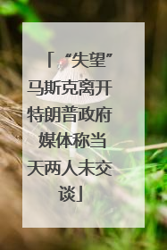 “失望”马斯克离开特朗普政府 媒体称当天两人未交谈