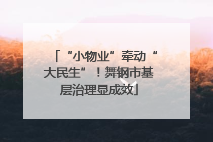 “小物业”牵动“大民生”！舞钢市基层治理显成效