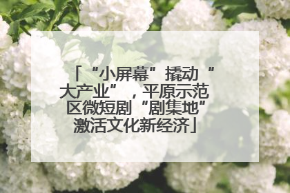 “小屏幕”撬动“大产业”，平原示范区微短剧“剧集地”激活文化新经济
