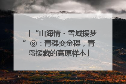 “山海情・雪域援梦”⑧：青稞变金稞，青岛援藏的高原样本
