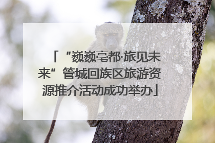 “巍巍亳都·旅见未来”管城回族区旅游资源推介活动成功举办