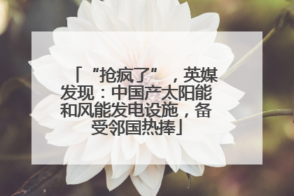 “抢疯了”，英媒发现：中国产太阳能和风能发电设施，备受邻国热捧