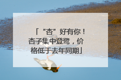 “杏”好有你！杏子集中登鹭，价格低于去年同期