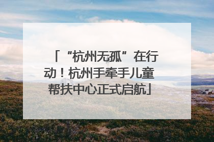 “杭州无孤”在行动！杭州手牵手儿童帮扶中心正式启航