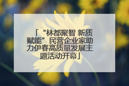 “林都聚智 新质赋能”民营企业家助力伊春高质量发展主题活动开幕