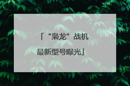 “枭龙”战机最新型号曝光