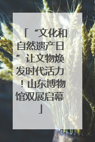 “文化和自然遗产日”让文物焕发时代活力！山东博物馆双展启幕