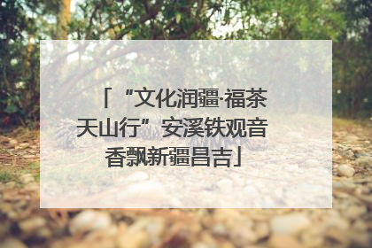 “文化润疆·福茶天山行”安溪铁观音香飘新疆昌吉