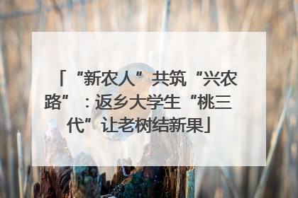 “新农人”共筑“兴农路”：返乡大学生“桃三代”让老树结新果