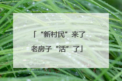 “新村民”来了 老房子“活”了
