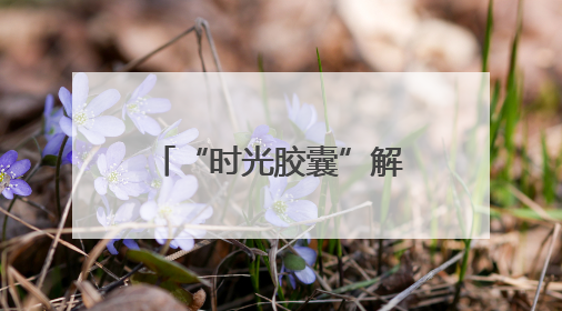 “时光胶囊”解码万年农耕文明（考古中国）