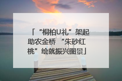 “桐柏U礼”架起助农金桥 “朱砂红桃”绘就振兴图景