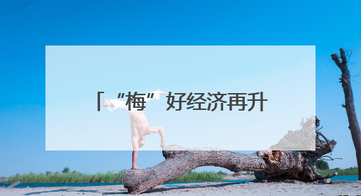 “梅”好经济再升级！保康签约野生蜡梅生物科技项目