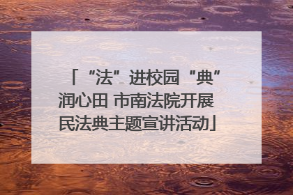 “法”进校园“典”润心田 市南法院开展民法典主题宣讲活动